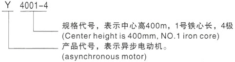 西安泰富西玛Y系列(H355-1000)高压JR500L2-4三相异步电机型号说明